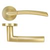Zoo Hardware Andorra lever on rose - Satin Brass
