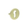 CRES Satin Brass Euro Escutcheon Lug Fixed - By Frelan Hardware - CRES1652SB
