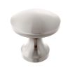 Zoo Hardware Top Drawer Fittings 24mm knob - Nickel