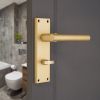 Jura Lever on Backplate Bathroom Satin Brass