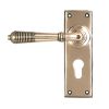 Polished Bronze Reeded Lever Euro Lock Set