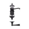 Zoo Hardware Lever on Fleur de Lys Latch Backplate - Black