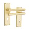 Jura Lever on Backplate Lock Satin Brass