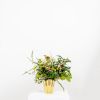 Smooth Brass Flora Pot - Small