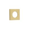 Burlington Square Plain Outer Rose Satin Brass - By Frelan Hardware - BUR150SB