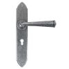 Pewter Gothic Lever Lock Set
