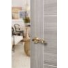 STATUS Colorado Lever Door Handle on Round Rose - Satin Brass