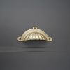 Shell Cup Pull Polished Brass