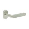 CR-101 Satin Stainless Steel Multi Point Oval Rose Door Handle - By Frelan Hardware - CR-101C4SSS