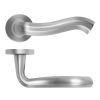 Zoo Hardware Rococo Lever On Round Rose - Satin Chrome