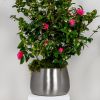 Satin Marine SS (316) 28cm Hepworth Pot (Drainage holes)