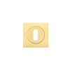 Zoo Hardware Square standard profile escutcheon - Favo Satin Brass