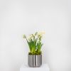 Satin Marine SS (316) 16cm Newlyn Pot