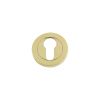 Zoo Hardware Euro Profile Escutcheon 50 x 8mm - Brass