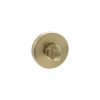 Senza Pari WC Turn and Release on Round Rose - Satin Brass