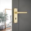 Jura Lever on Backplate Lock Satin Brass