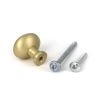 Satin Brass Moore Cabinet Knob - 25mm