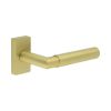 CR-102 Satin Brass Multi Point Rectangular Rose Door Handle - By Frelan Hardware - CR-102D4SB