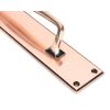 Polished Bronze 425mm Art Deco Pull Handle on Backplate