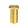 Zoo Hardware Dust Socket for Flush Bolts - Concrete 20mm dia. x 38mm - PVD Satin Brass