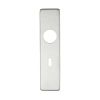 Zoo Hardware Cover plate for 19 mm RTD Lever on Short Backplate - Lock 57mm - 45mm x 180mm PSS - Stainless Steel