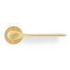 Valli Perkins&Will Lever on Round Rosette - Satin Brass PVD