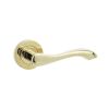 Gamma Door Handles Brass Finish - By Frelan Hardware - JV509PVD