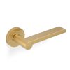 Valli W.W Lever on Round Rosette - Satin Brass PVD