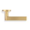 Valli W.W Lever on Round Rosette - Satin Brass PVD