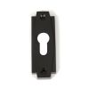 Aged Bronze Art Deco Euro Escutcheon