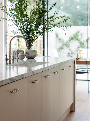 Polished Nickel