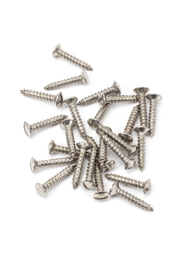 Stainless Steel 6x¾" Countersunk Raised Head Screws (25)
