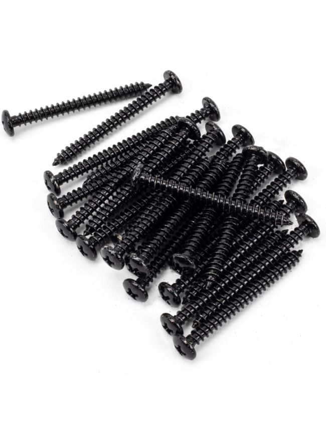 Black 10x2" Round Head Screws (25)