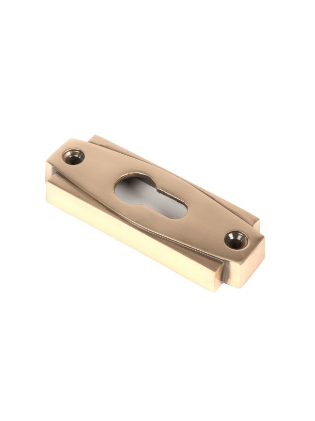 Polished Bronze Art Deco Euro Escutcheon