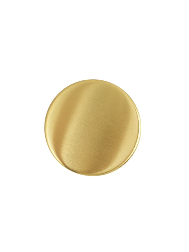 Zoo Hardware Blank Escutcheon - 52mm Rose - Grade 201 - PVD Satin Brass