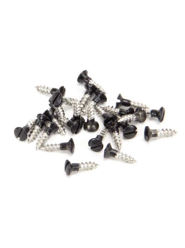Black SS 3.0 x 12 Csk R/Head Screws (25)