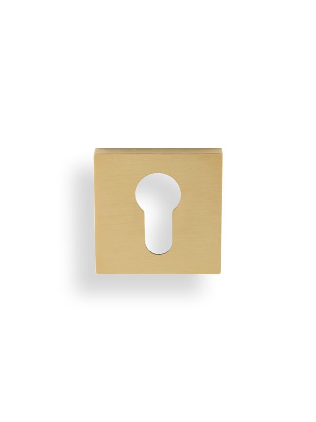 Valli Euro Profile Push-on Square Rosette Escutcheon - Satin Brass PVD