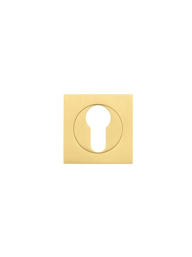 Zoo Hardware Square euro profile escutcheon - Favo Satin Brass