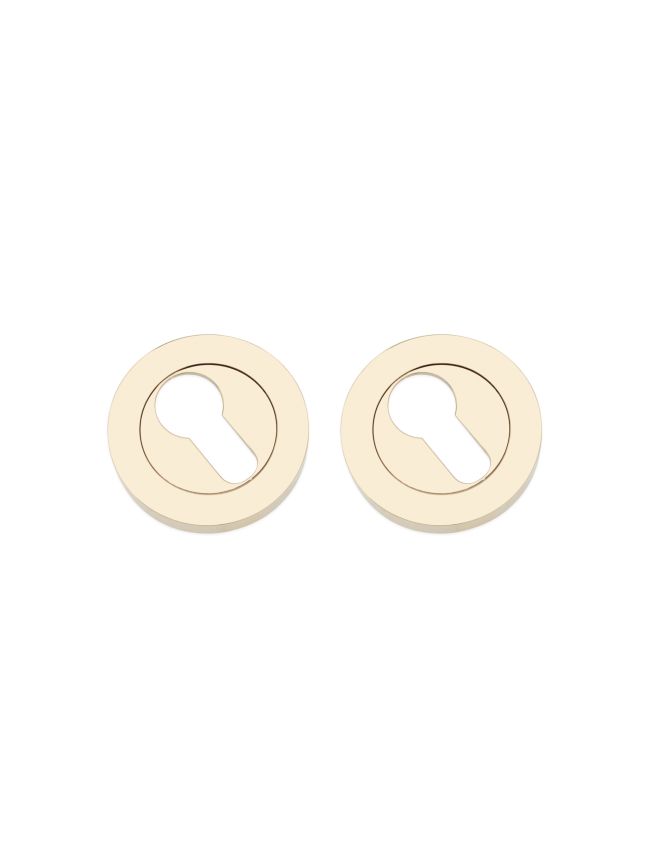 Euro Profile Escutcheon PVD Brass