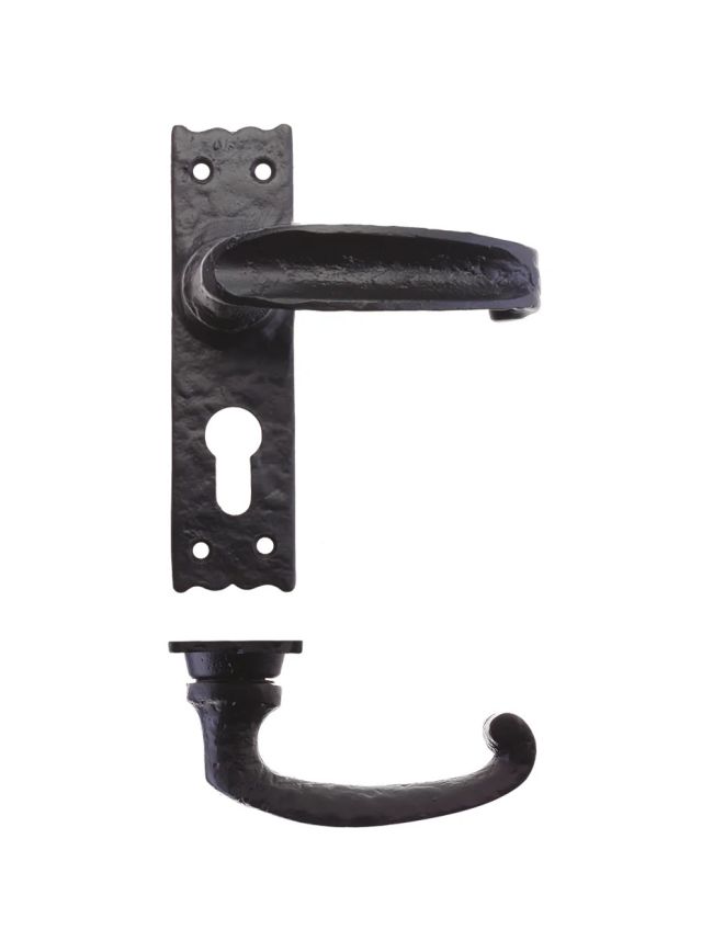 Zoo Hardware Traditional Slimline Thumb Lever on Euro Backplate - - Black