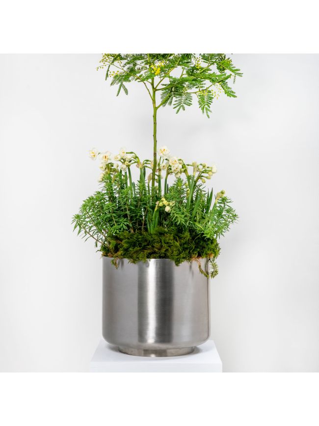 Satin Marine SS (316) 28cm Newlyn Pot
