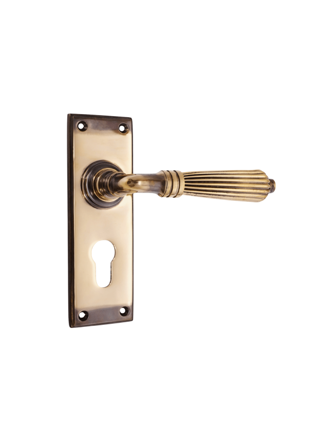 Regency Lever on Backplate Euro Aged Brass