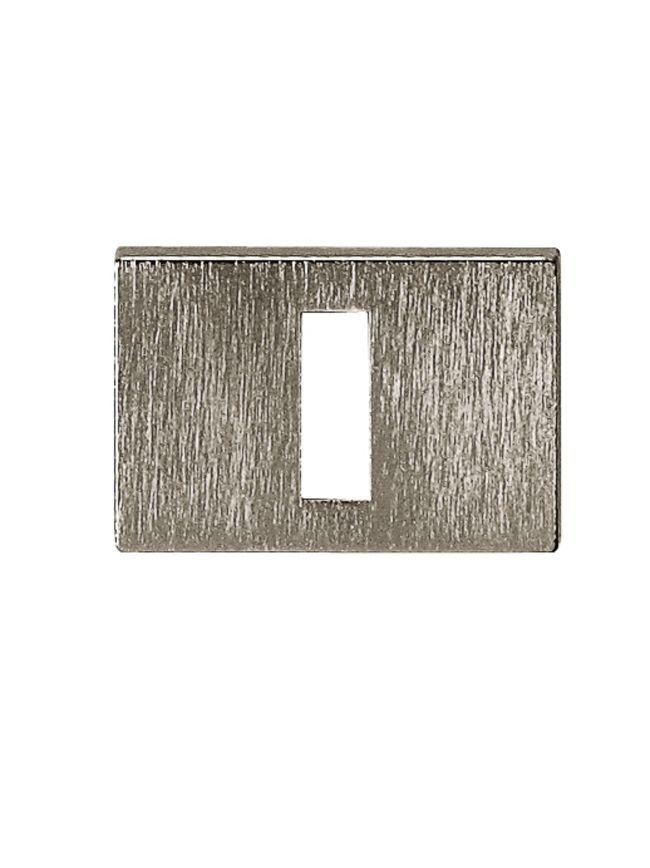 Tupai Rapido RetaLine/VersaLine Key Escutcheons on Long Rose - Titanium (Pair)