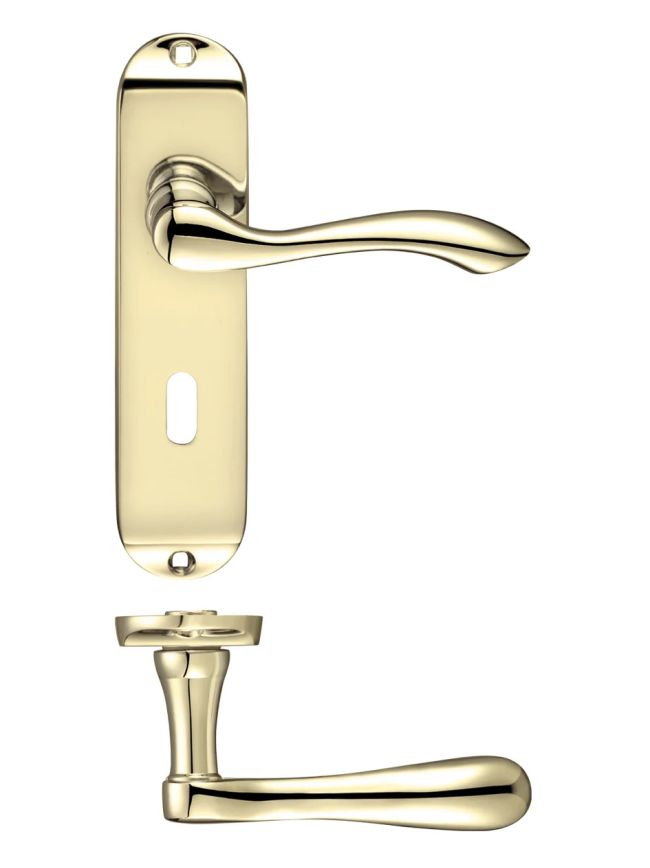 Zoo Hardware Project Arundel lever on lock backplate - 175mm x 42mm - Electro Brass