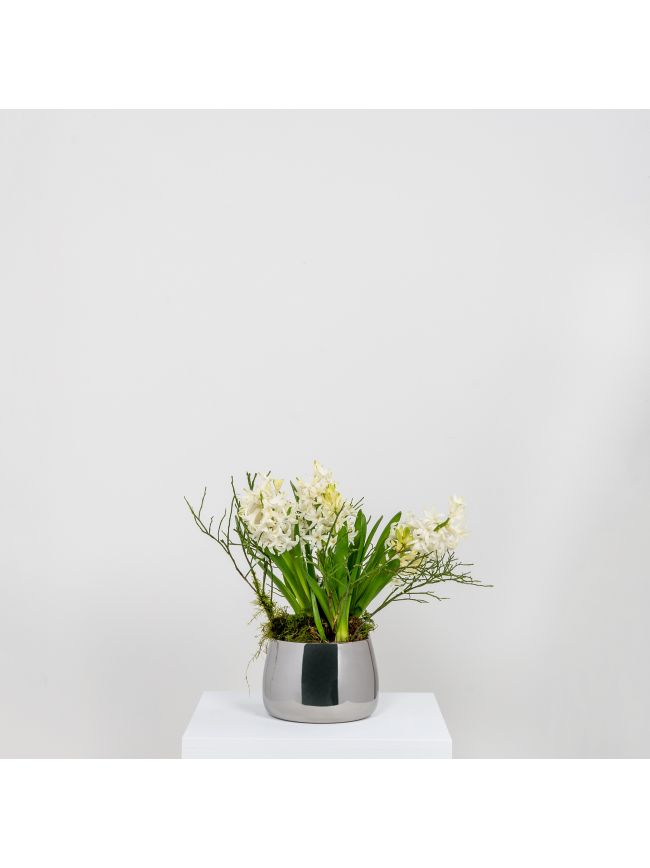 Polished Marine SS (316) 12.5cm Hepworth Pot