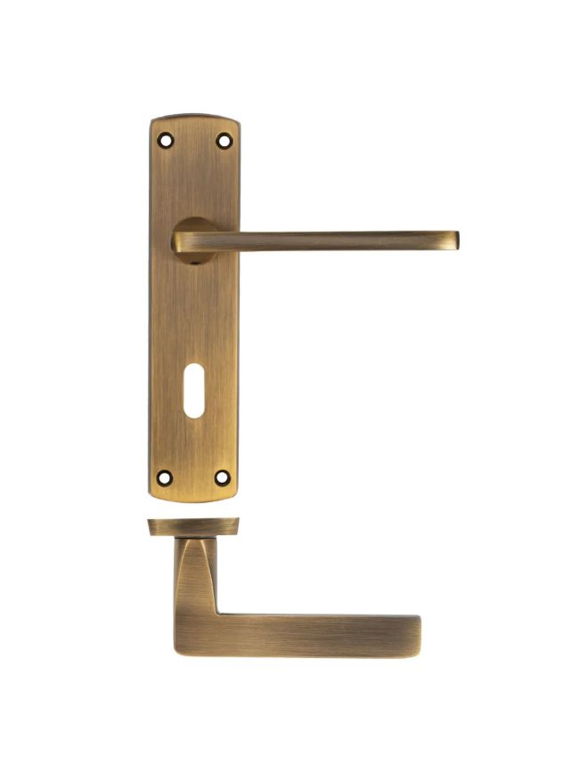 Zoo Hardware Leon lever on lock backplate - Antique Brass