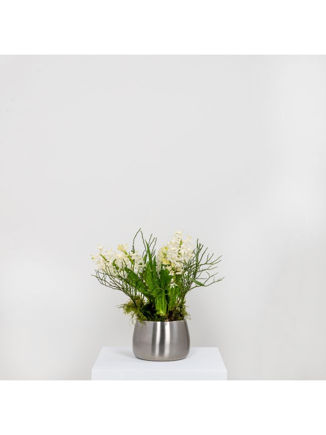 Satin Marine SS (316) 12.5cm Hepworth Pot