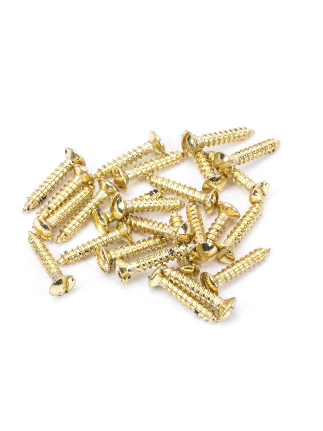 Polished Brass SS 6x¾" Countersunk Raised Head Screws (25)