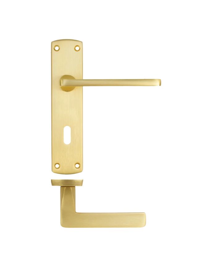 Zoo Hardware Leon lever on lock backplate - Satin Brass