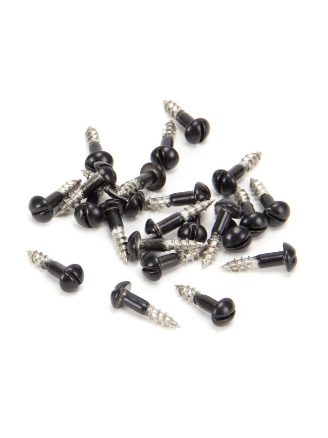 Black SS 3.0 x 12 Roundhead Screws (25)